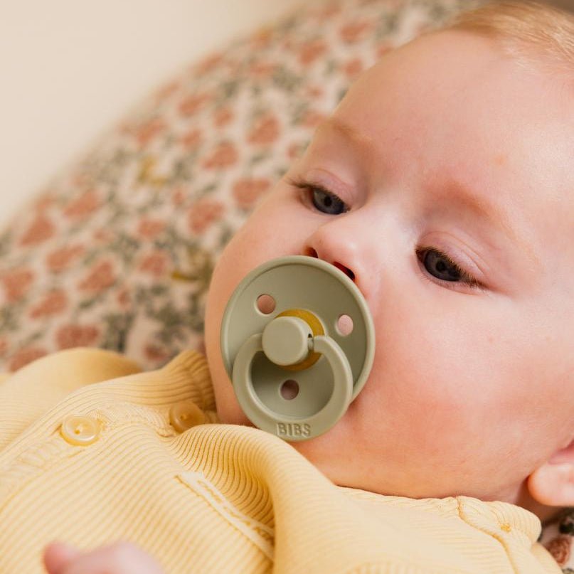 BIBS Colour Dummies 2 Pack - The Birth Store - BIBS